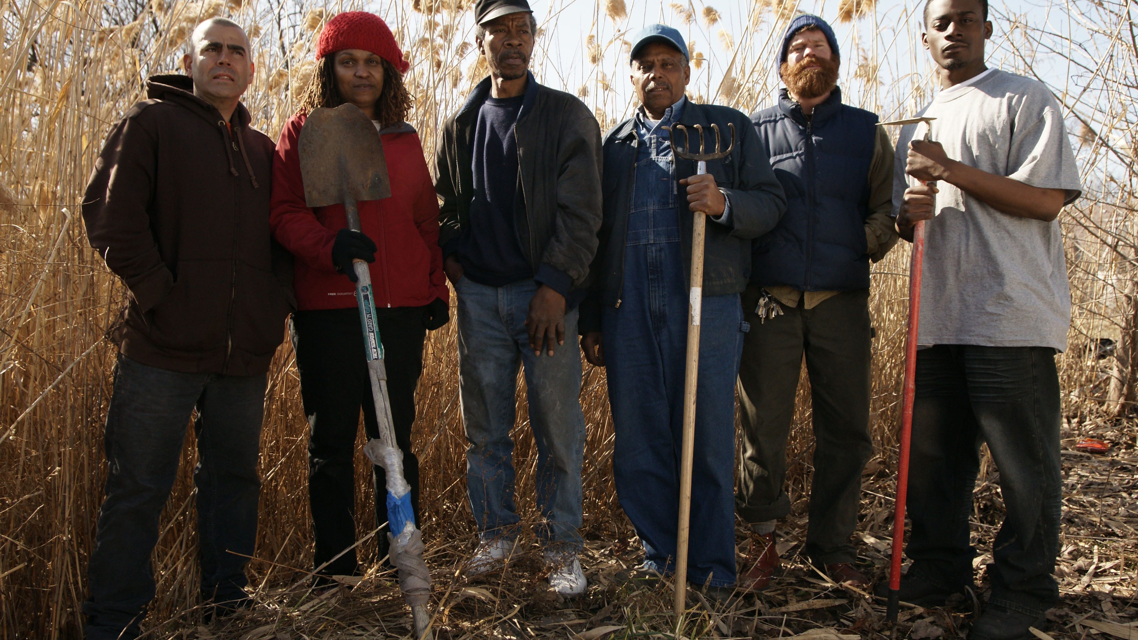 Urban Roots